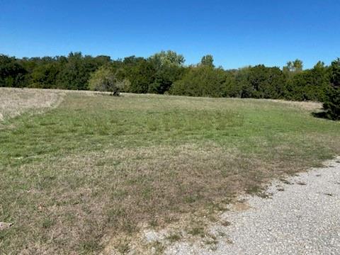 1637 Fawn Court Property Photo 8