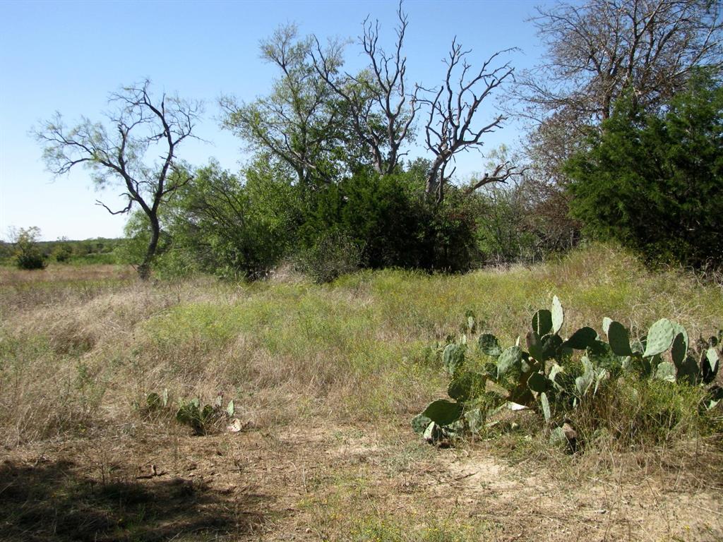 1 County Road 2830 Property Photo 10