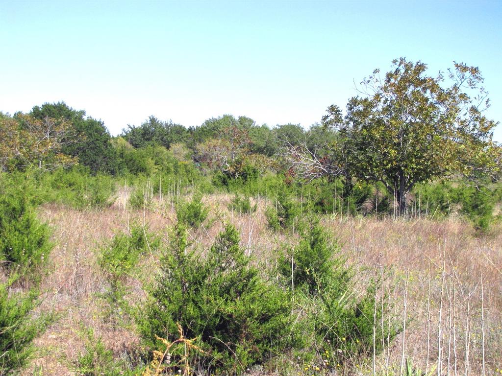 1 County Road 2830 Property Photo 17