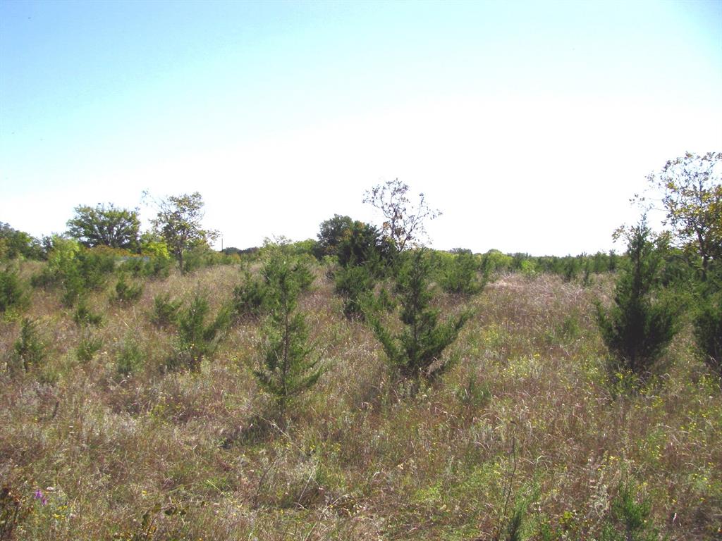 1 County Road 2830 Property Photo 19