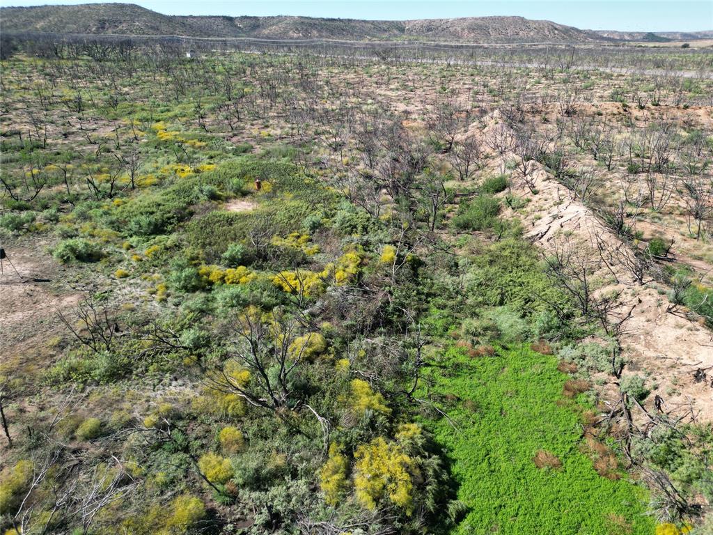 9881 Us Highway 277 Property Photo 14