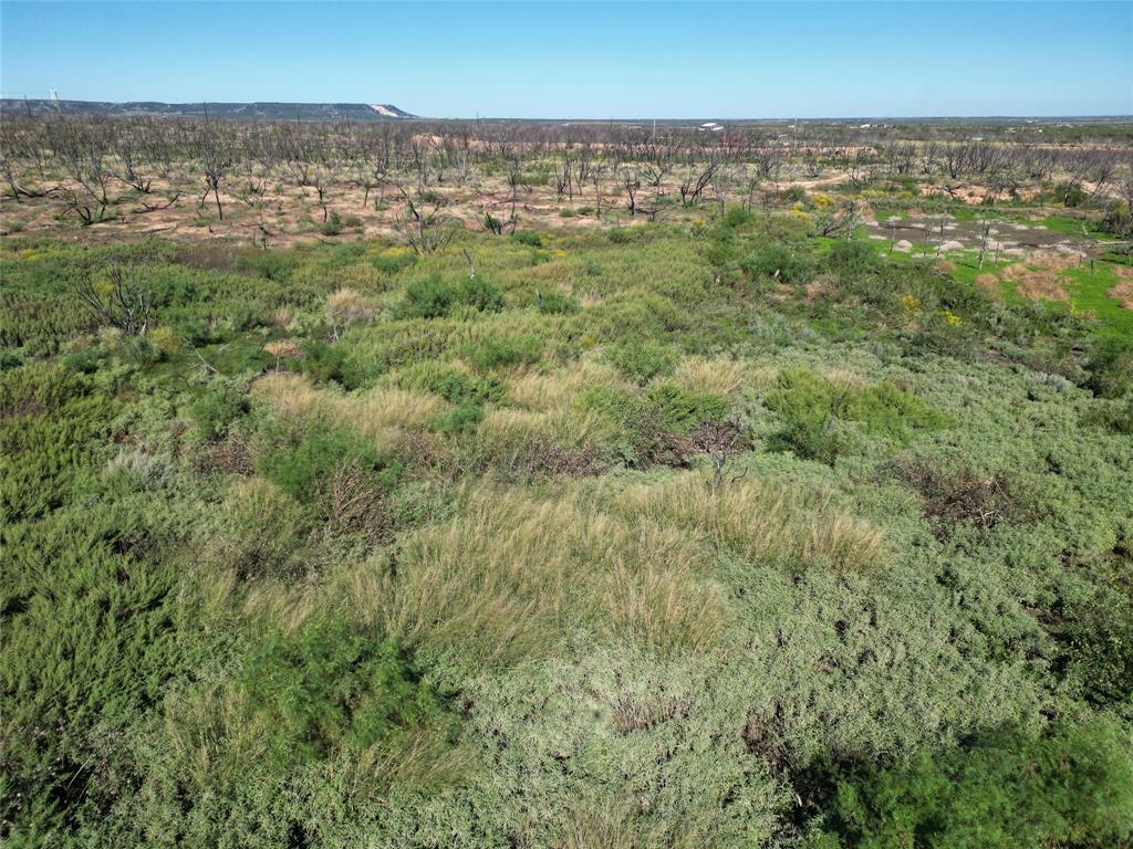 9881 Us Highway 277 Property Photo 17