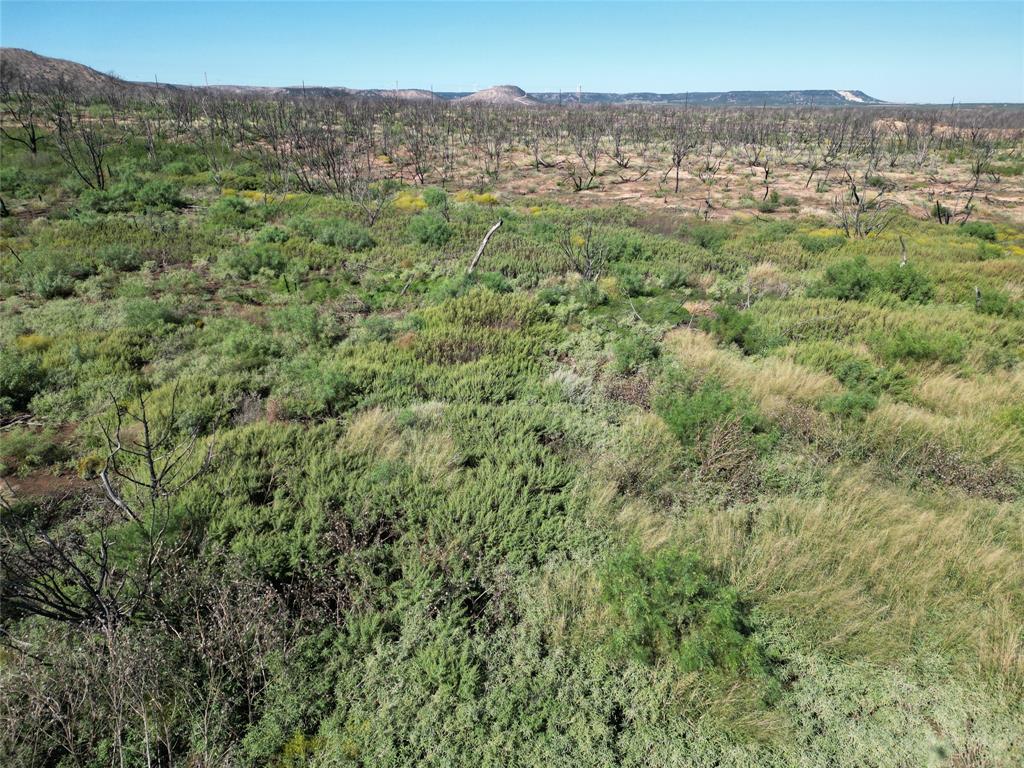 9881 Us Highway 277 Property Photo 18