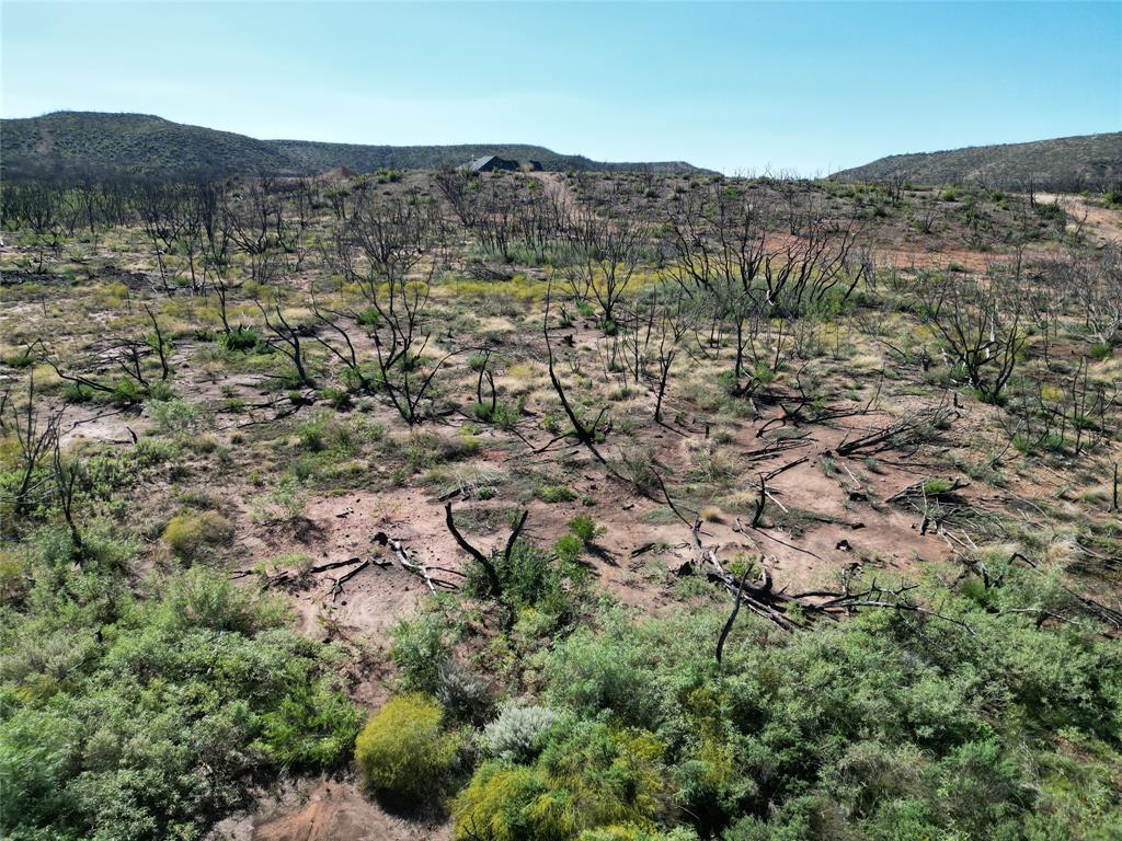 9881 Us Highway 277 Property Photo 19