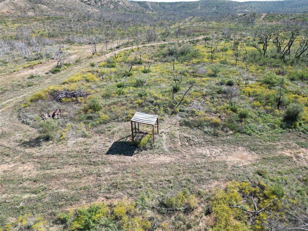 9881 Us Highway 277 Property Photo 22