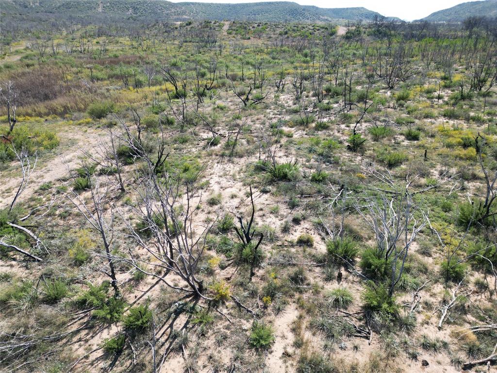 9881 Us Highway 277 Property Photo 24
