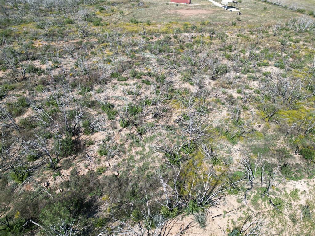 9881 Us Highway 277 Property Photo 27