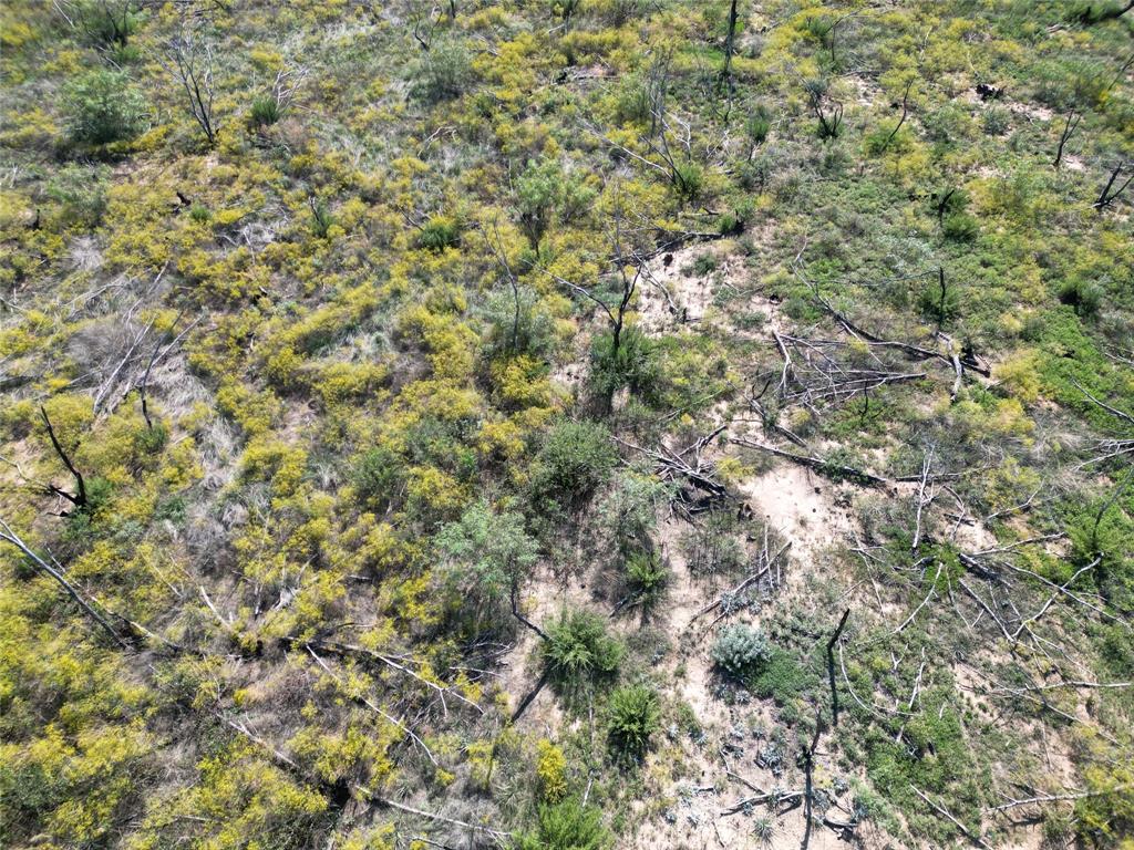 9881 Us Highway 277 Property Photo 28
