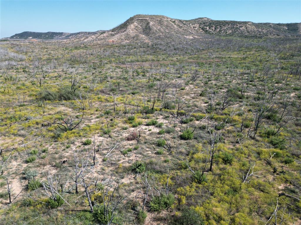 9881 Us Highway 277 Property Photo 30