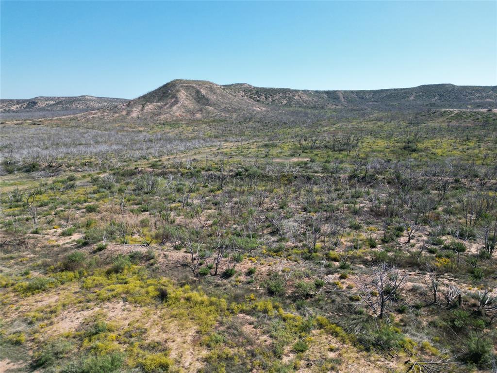 9881 Us Highway 277 Property Photo 31