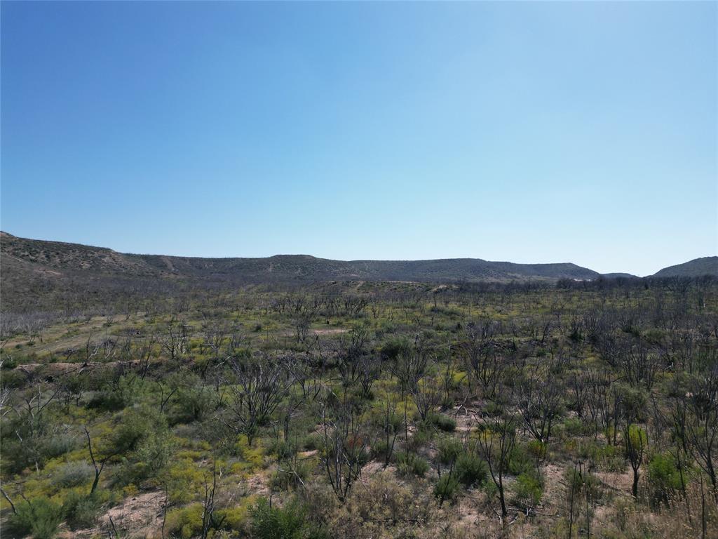 9881 Us Highway 277 Property Photo 32