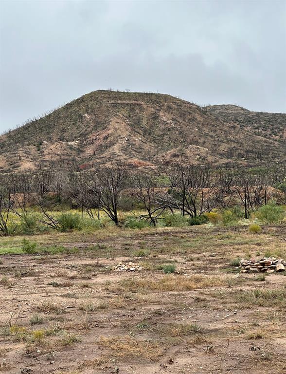 9881 Us Highway 277 Property Photo 33