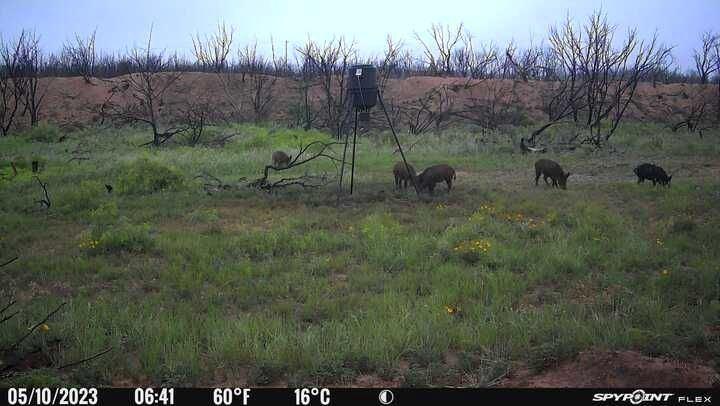 9881 Us Highway 277 Property Photo 38