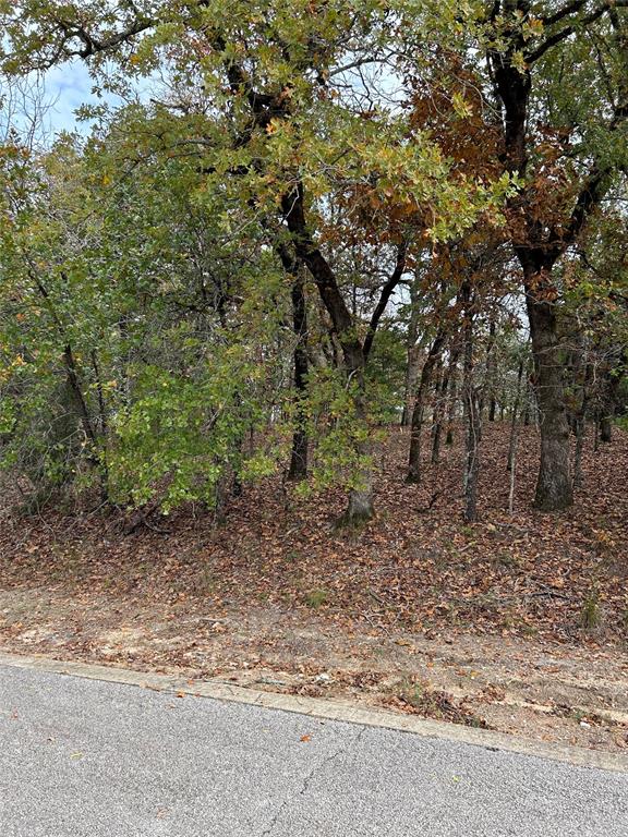 489 Pedernales Property Photo 2