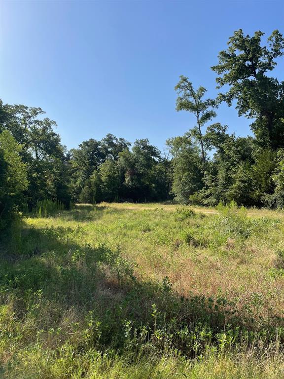 Tbd 00 Lcr 828 Property Photo 7