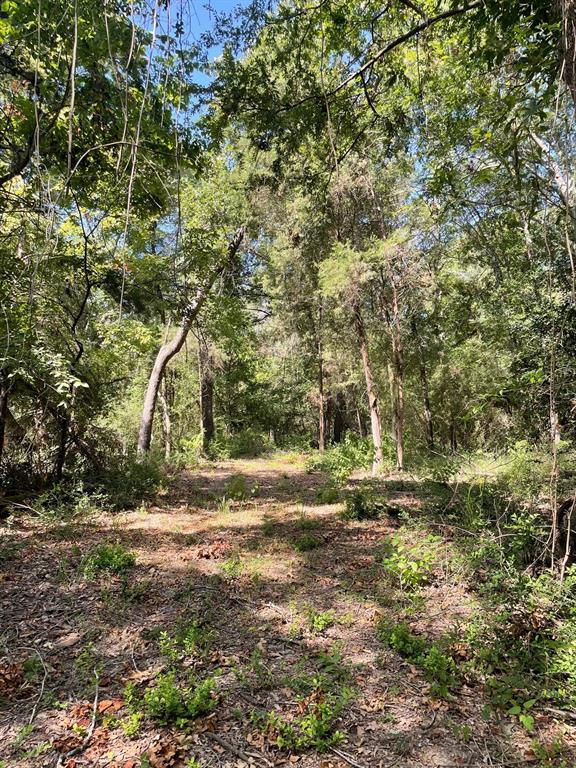 Tbd 00 Lcr 828 Property Photo 12