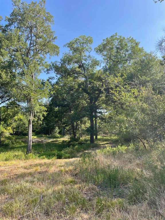 Tbd 00 Lcr 828 Property Photo 15