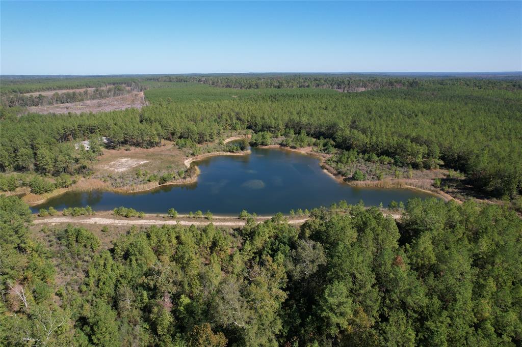 Tbd Fm 2991 Property Photo 3