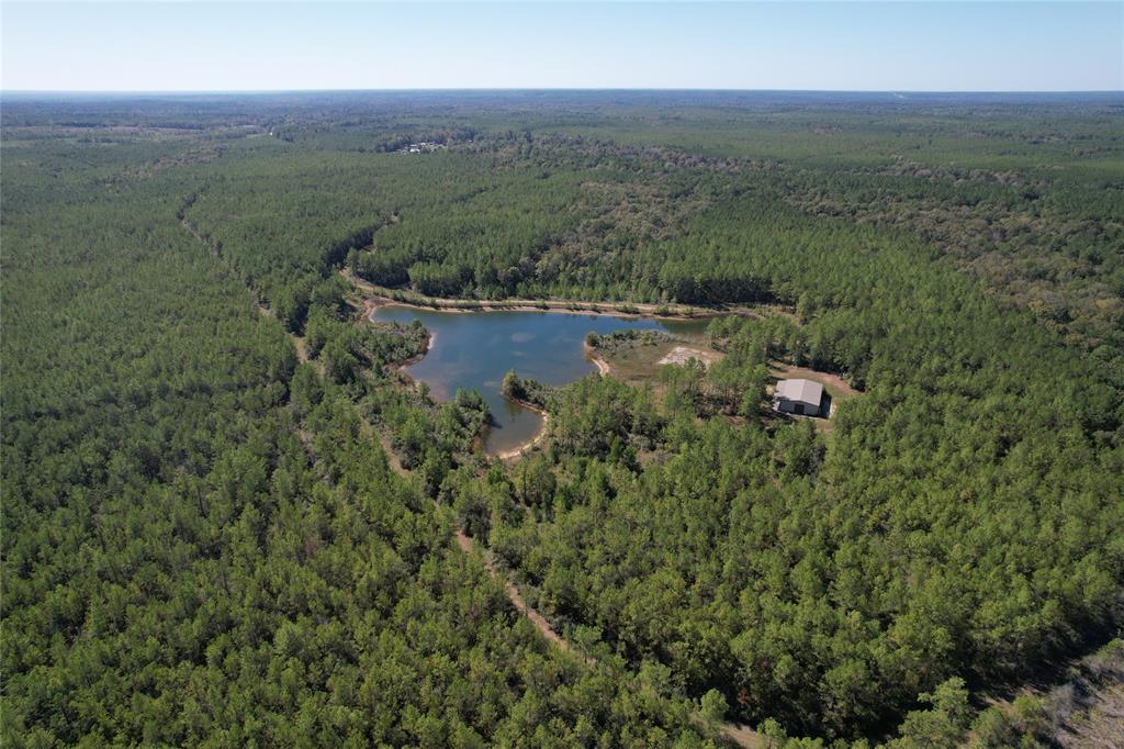 Tbd Fm 2991 Property Photo 8