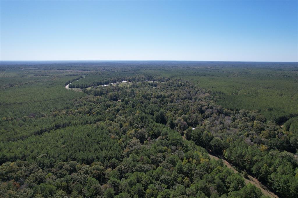 Tbd Fm 2991 Property Photo 9