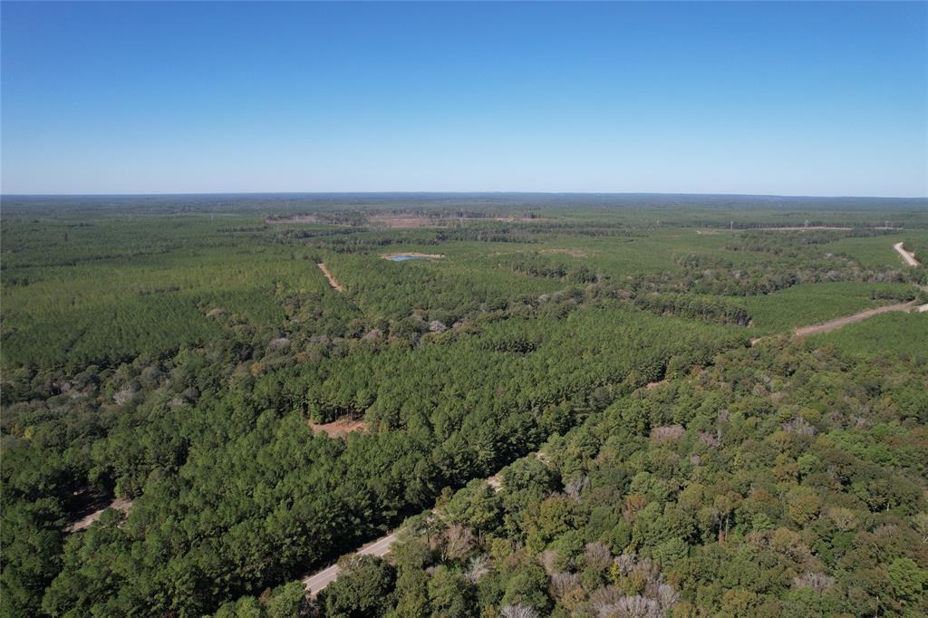 Tbd Fm 2991 Property Photo 10