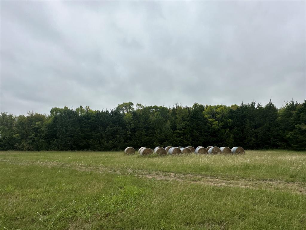 133 Rebecca Road Property Photo 11