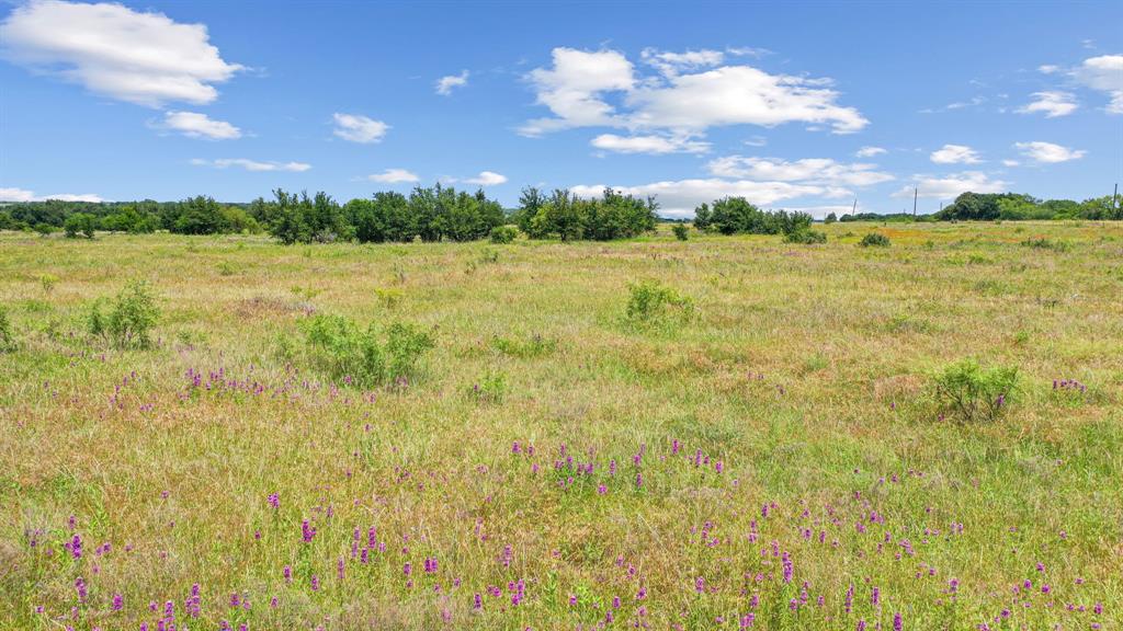 Tbd Fm 576 Property Photo 16