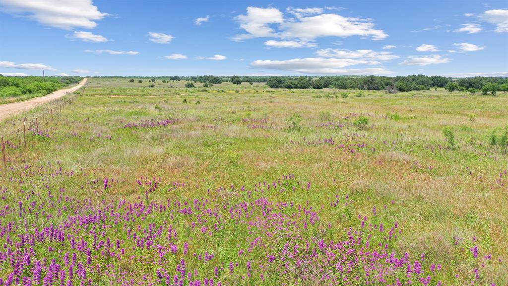 Tbd Fm 576 Property Photo 19