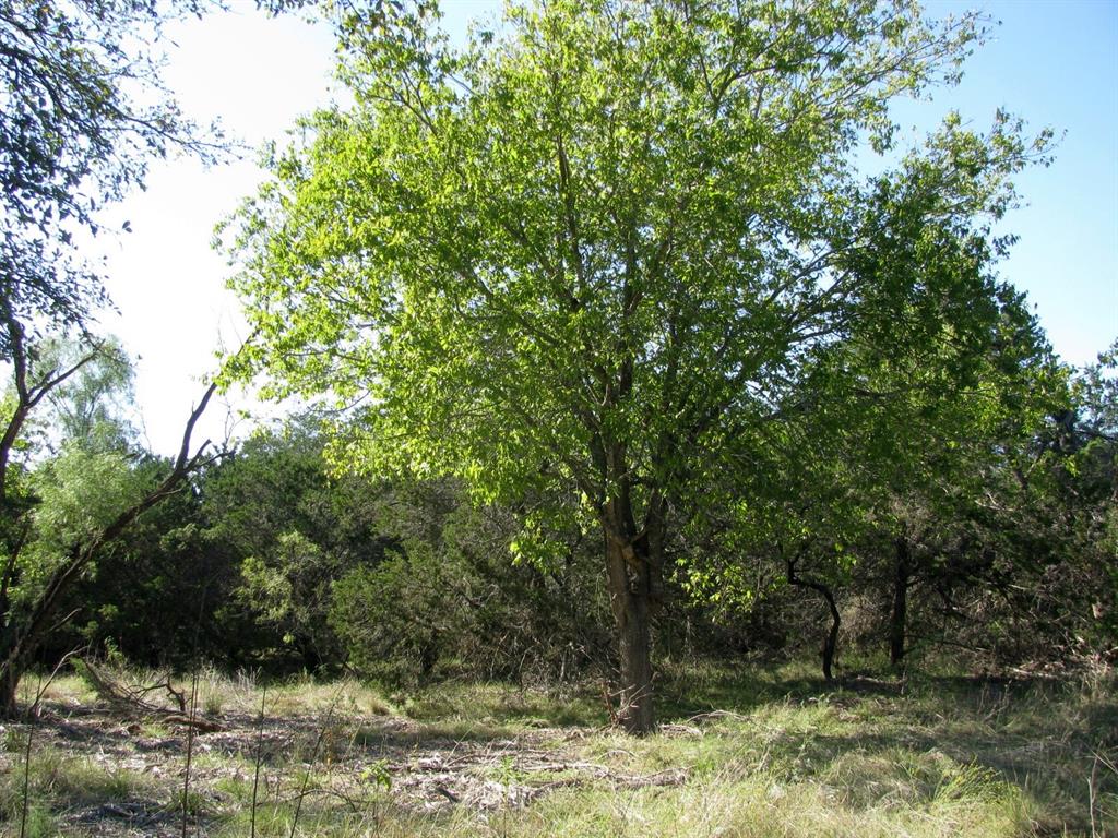 Tbd Pr 42112 Property Photo 2