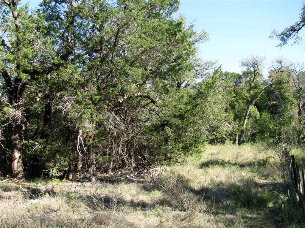 Tbd Pr 42112 Property Photo 20