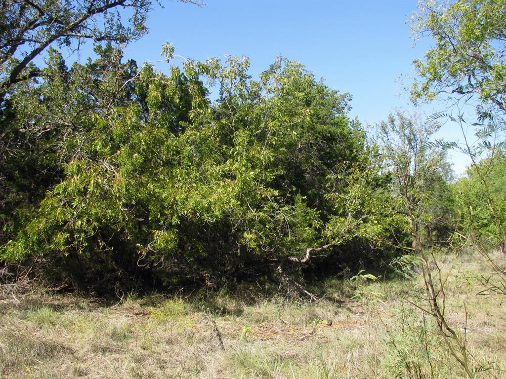 Tbd Pr 42112 Property Photo 24