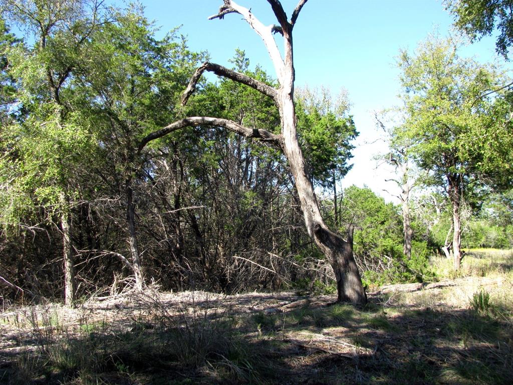Tbd Pr 42112 Property Photo 31