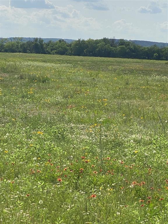 Tbd 45 Acres # 1 County Road 186 Property Photo 4