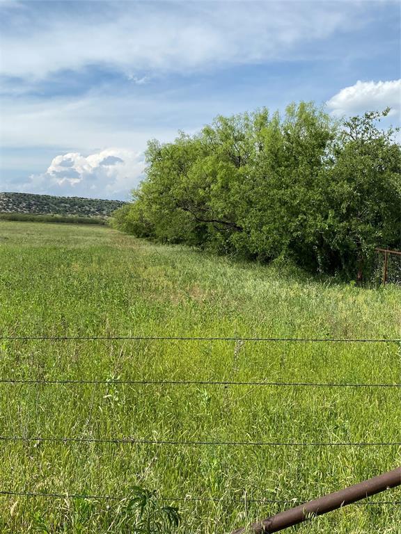 Tbd 45 Acres # 1 County Road 186 Property Photo 8