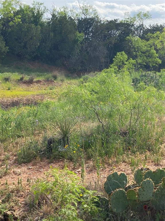 Tbd 45 Acres # 1 County Road 186 Property Photo 10