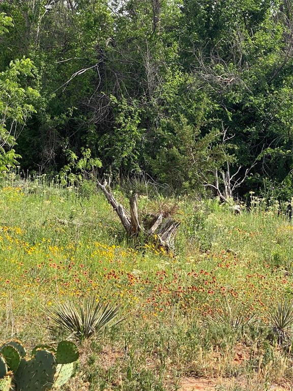 Tbd 45 Acres # 1 County Road 186 Property Photo 11