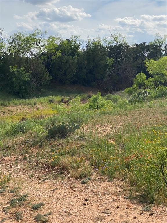 Tbd 45 Acres # 1 County Road 186 Property Photo 12