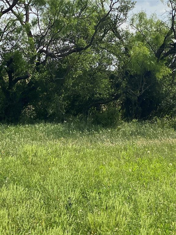 Tbd 45 Acres # 1 County Road 186 Property Photo 13