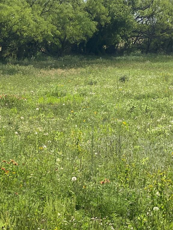 Tbd 45 Acres # 1 County Road 186 Property Photo 14