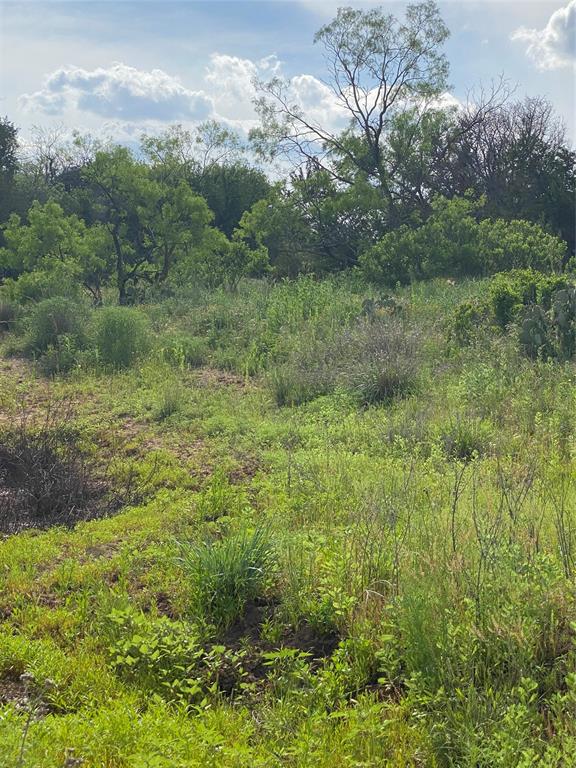 Tbd 45 Acres # 1 County Road 186 Property Photo 15