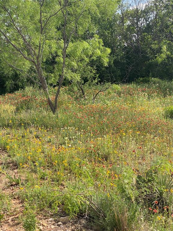 Tbd 45 Acres # 1 County Road 186 Property Photo 16