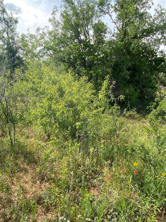 Tbd 45 Acres # 1 County Road 186 Property Photo 18