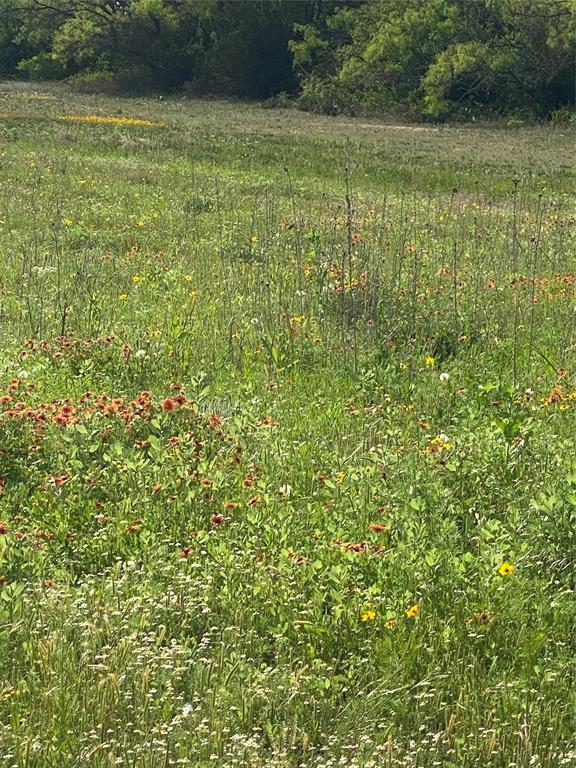 Tbd 45 Acres # 1 County Road 186 Property Photo 21