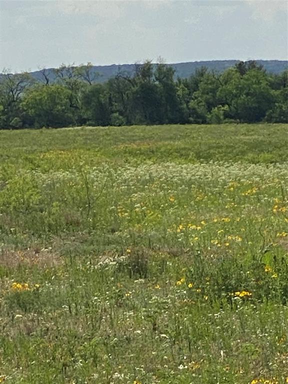 Tbd 45 Acres # 1 County Road 186 Property Photo 22