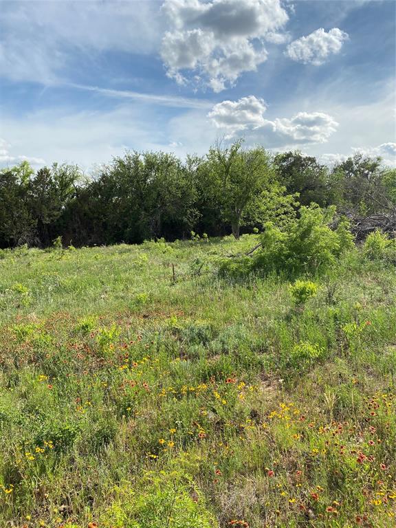 Tbd 45 Acres # 1 County Road 186 Property Photo 23