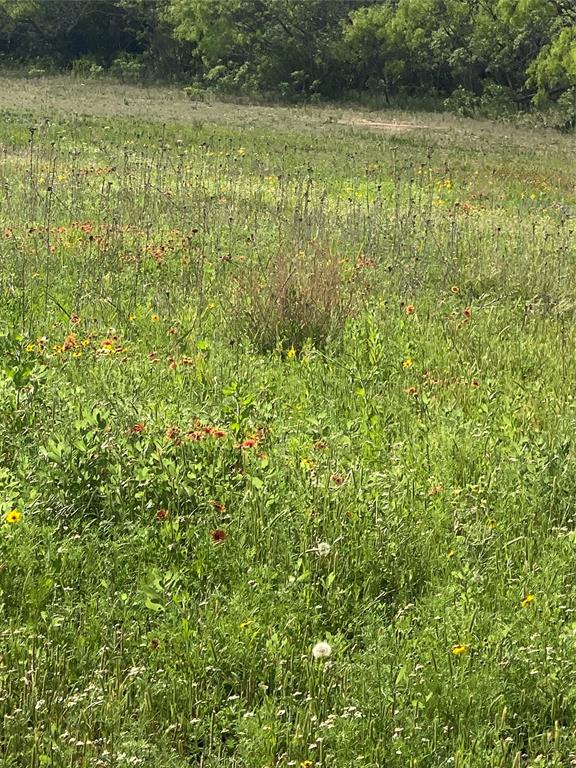 Tbd 45 Acres # 1 County Road 186 Property Photo 25