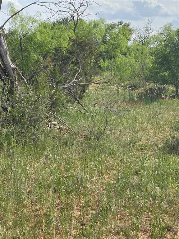 Tbd 45 Acres # 1 County Road 186 Property Photo 26