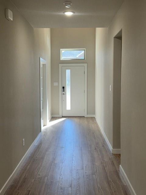 1409 Corkwood Drive Property Photo 5
