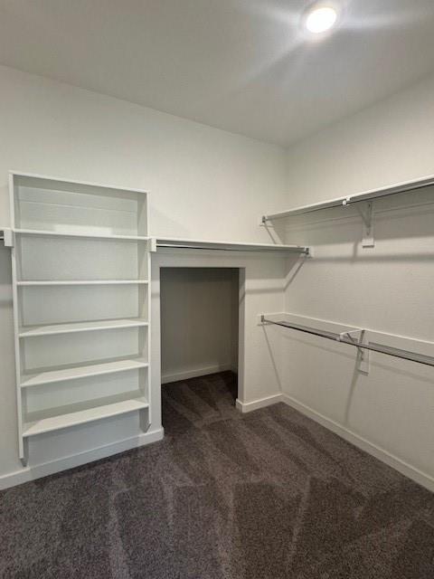 1409 Corkwood Drive Property Photo 22