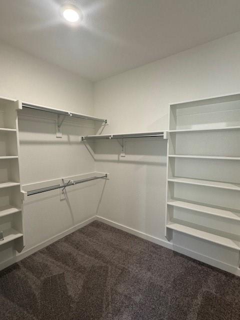 1409 Corkwood Drive Property Photo 23